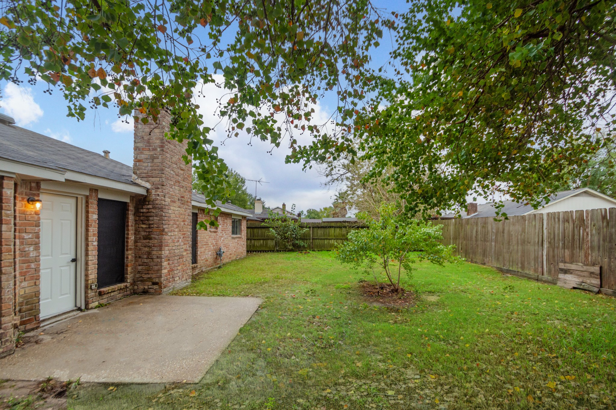 29019 Stapleford Street Spring, TX 77386 - Photo 24 of 27 a view of a backyard with plants and large trees