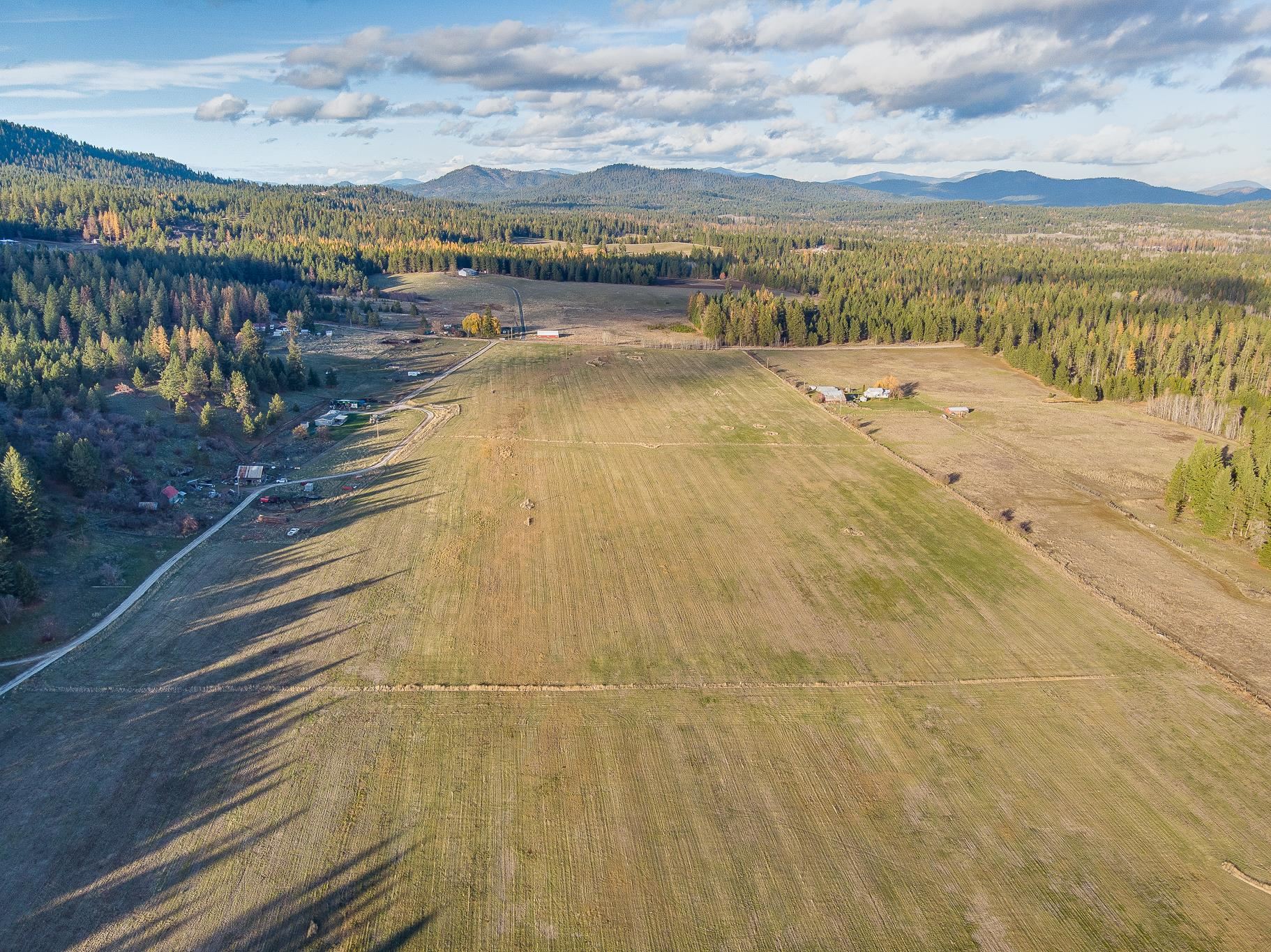 X Bellstar Road, Unit LOT A Clayton, WA 99110 - Photo 6 of 14
