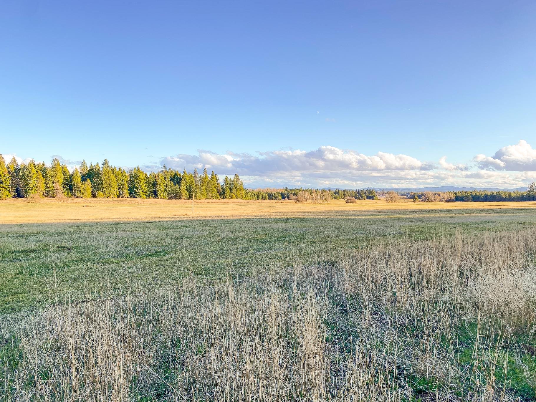 X Bellstar Road, Unit LOT A Clayton, WA 99110 - Photo 8 of 14