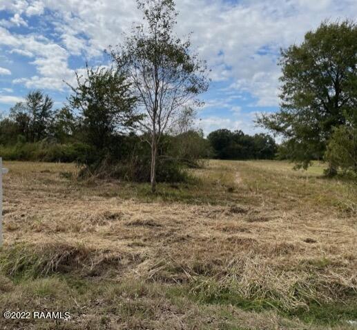 Tbd Romero Road Youngsville, LA 70592 - Photo 2 of 3 Gallery Image 2
