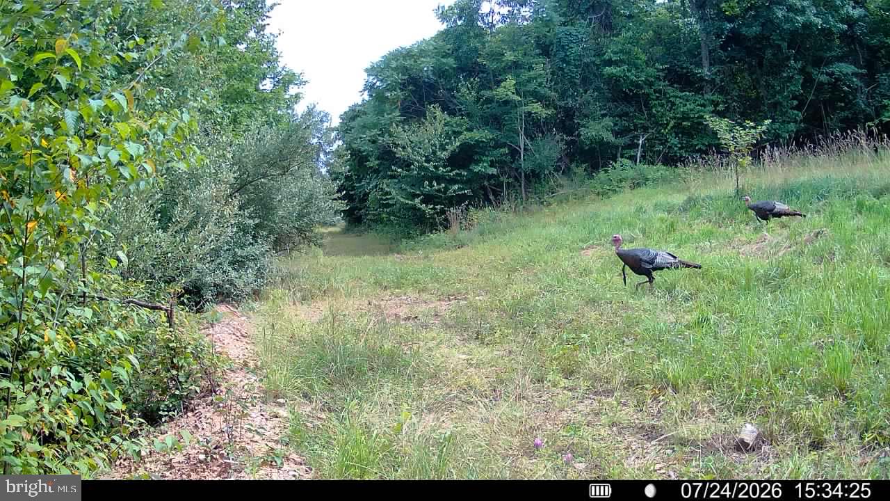 552 Wilson Road Parker, PA 16049 - Photo 30 of 60 Gallery Image 30