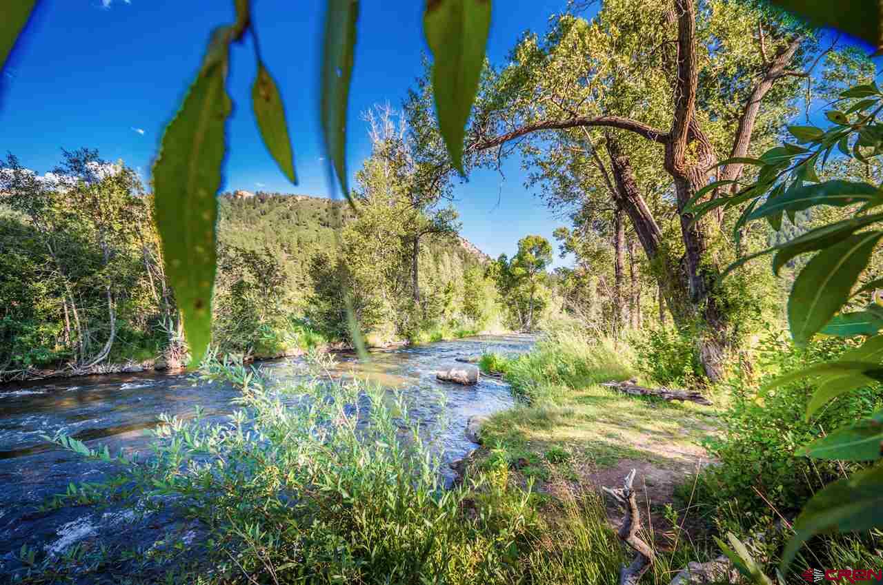 574 Edgemont Meadows Road Durango, CO 81301 - Photo 8 of 19 Gallery Image 8