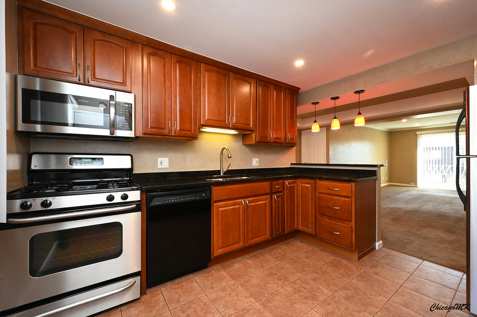 8543 West Rascher Avenue, Unit 3N Chicago, IL 60656 - Photo 12 of 30 Gallery Image 12