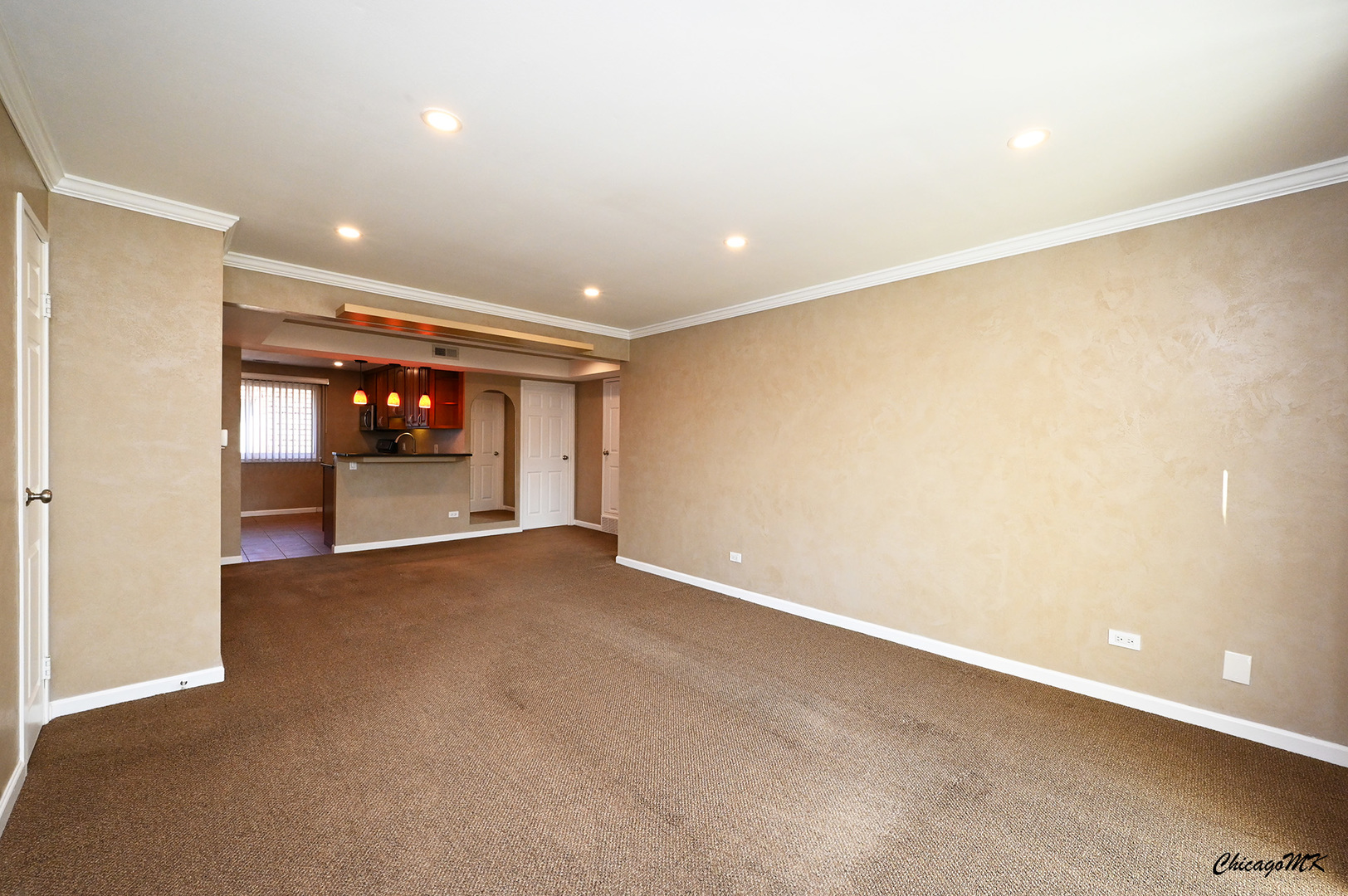 8543 West Rascher Avenue, Unit 3N Chicago, IL 60656 - Photo 3 of 30 Gallery Image 3