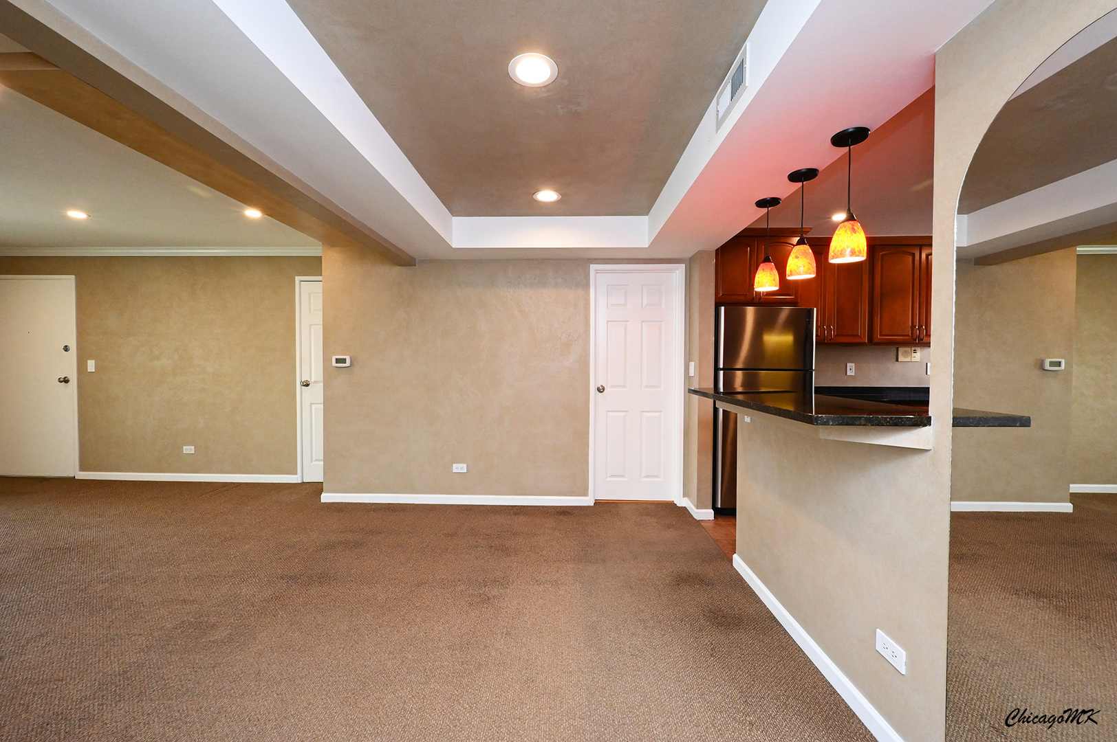 8543 West Rascher Avenue, Unit 3N Chicago, IL 60656 - Photo 8 of 30 Gallery Image 8