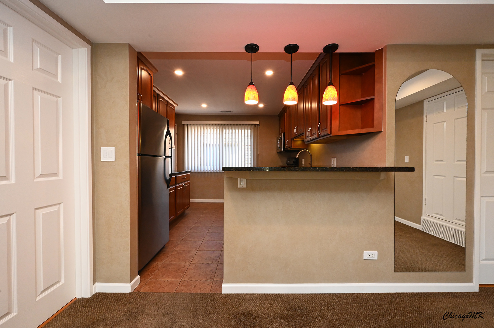 8543 West Rascher Avenue, Unit 3N Chicago, IL 60656 - Photo 9 of 30 Gallery Image 9