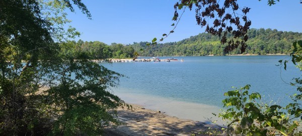 2607 Hardin Bottom River Road Clifton, TN 38425 - Photo 13 of 25