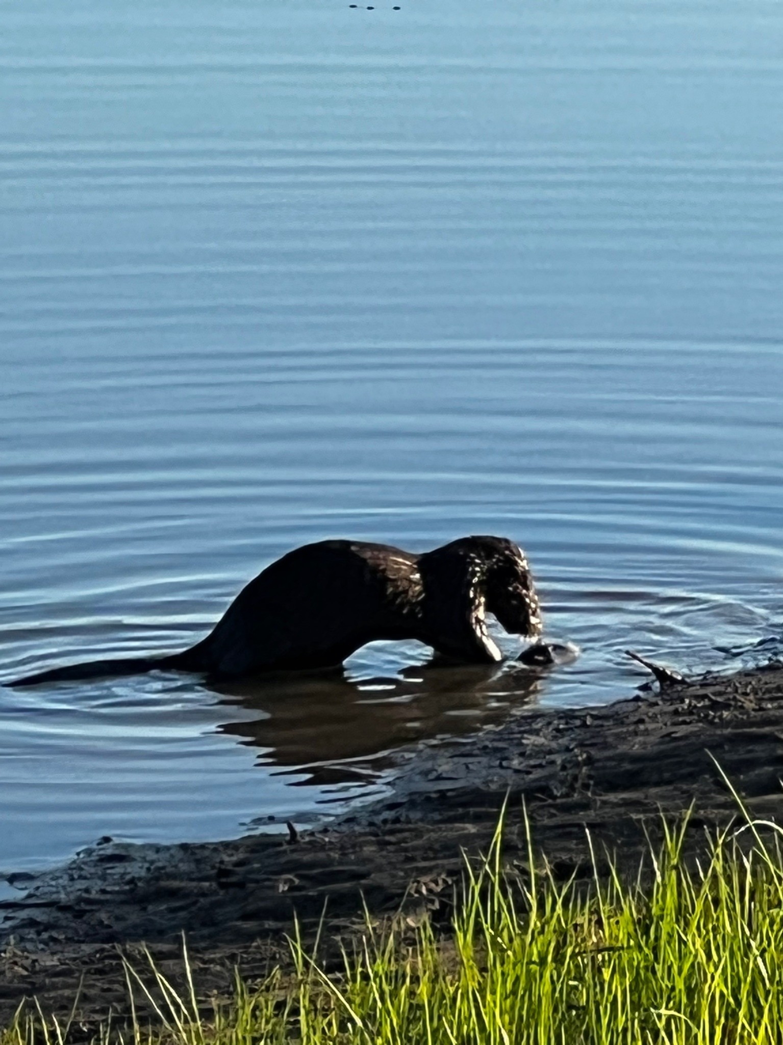 2607 Hardin Bottom River Road Clifton, TN 38425 - Photo 21 of 25