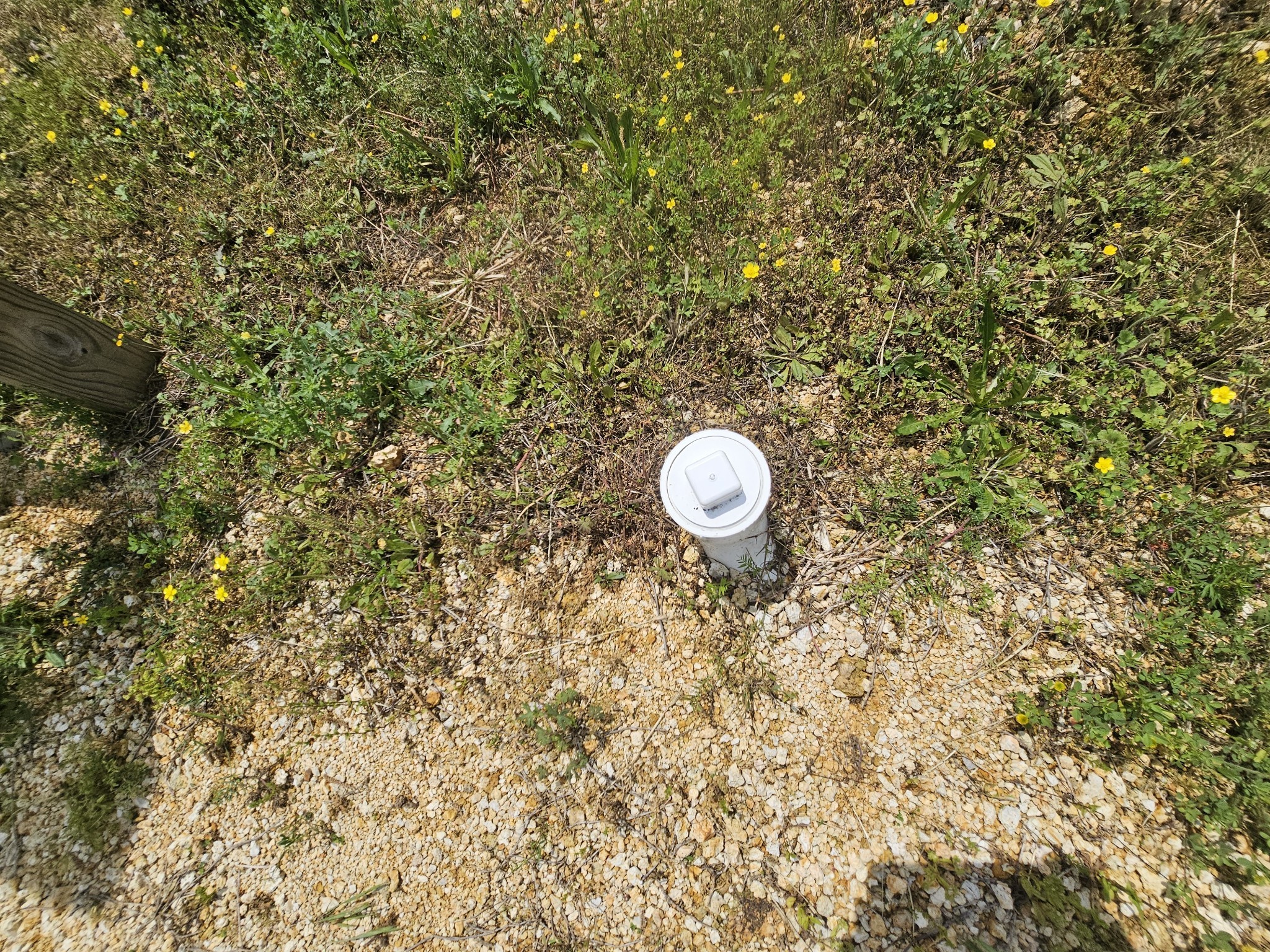 2607 Hardin Bottom River Road Clifton, TN 38425 - Photo 8 of 25