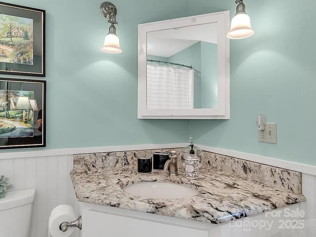 113 Mountain Cove Road Waynesville, NC 28786 - Photo 27 of 48 a bathroom with a sink a mirror and toilet