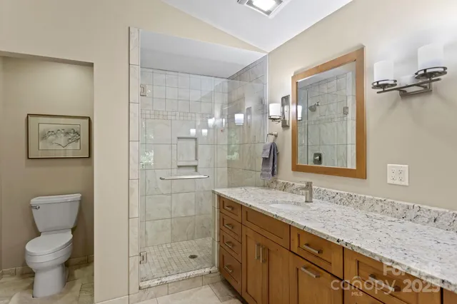 a bathroom with a granite countertop sink toilet and shower