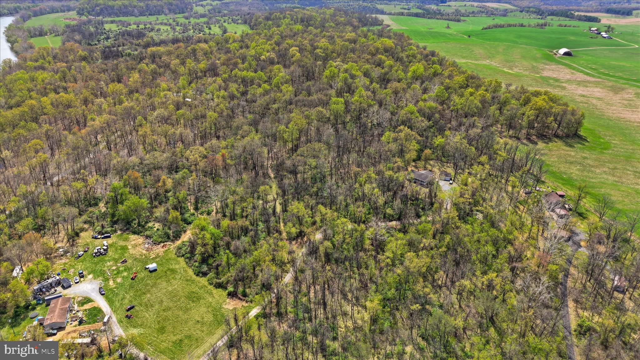 622 Co Rte 25/7 Charles Town, WV 25414 - Photo 51 of 54 a view of a big yard with plants and large trees