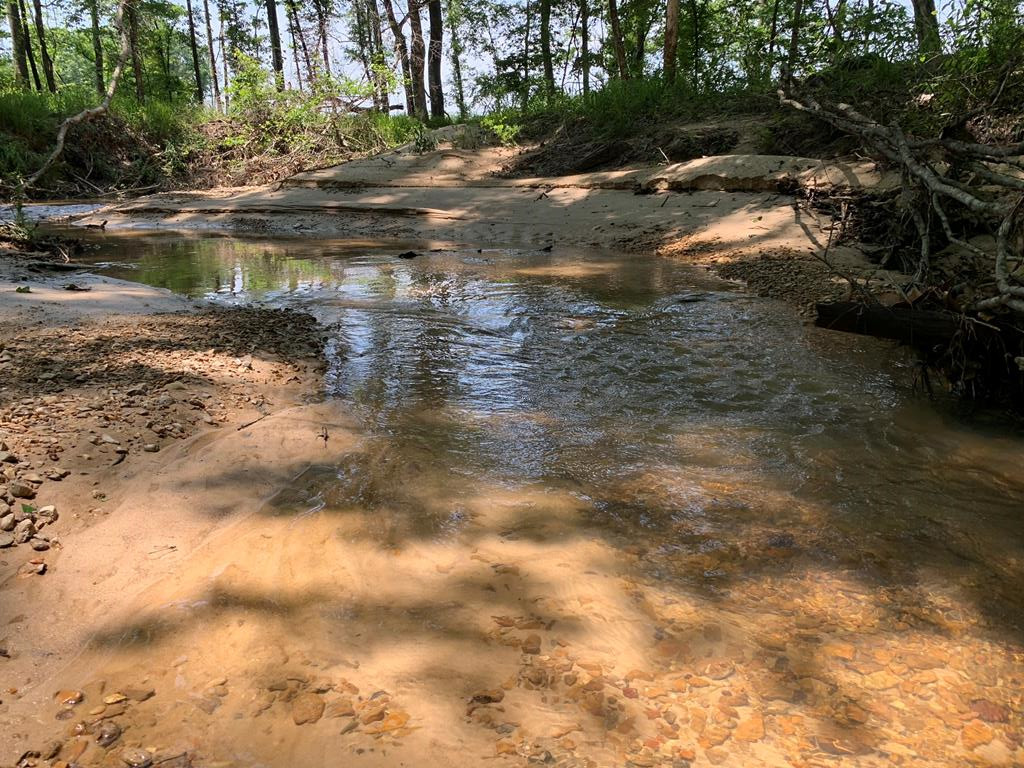 . Shelton Weeks Road Hazlehurst, MS 39083 - Photo 1 of 16 Main View