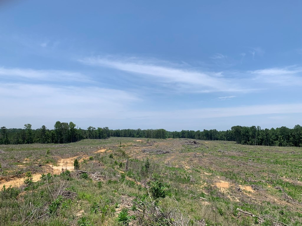. Shelton Weeks Road Hazlehurst, MS 39083 - Photo 12 of 16 Photo 12