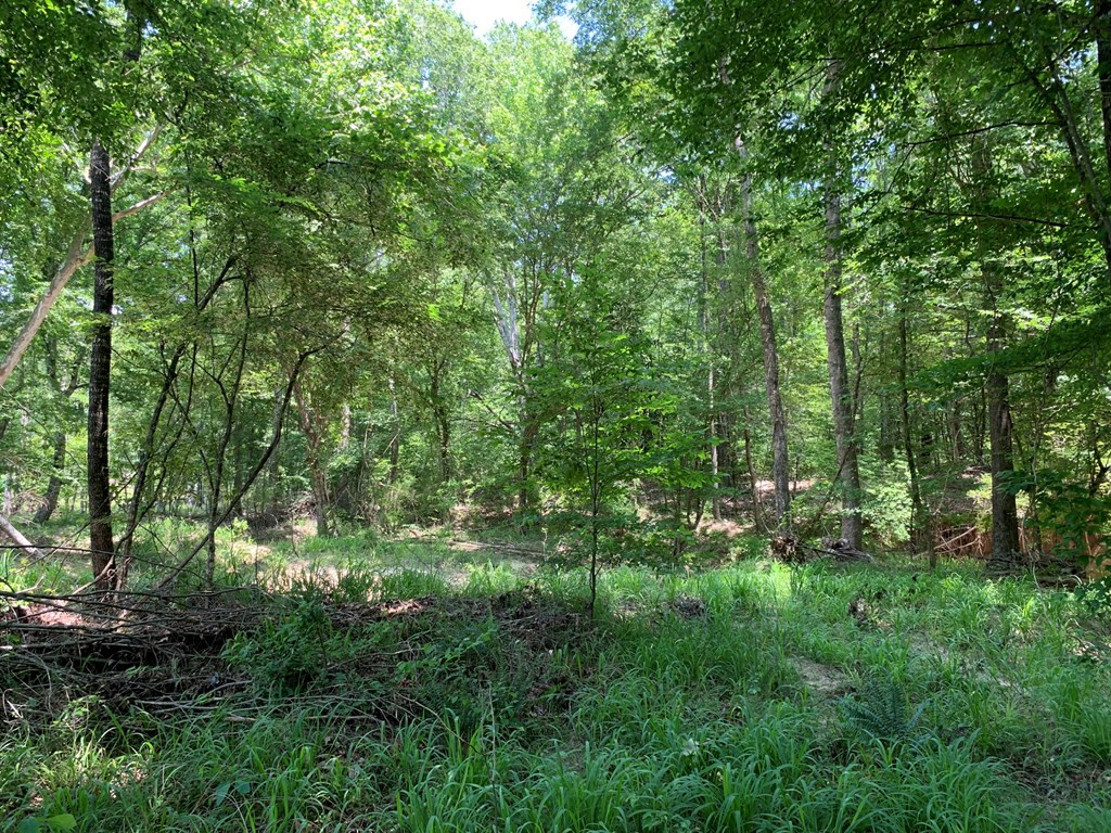 . Shelton Weeks Road Hazlehurst, MS 39083 - Photo 13 of 16 Photo 13