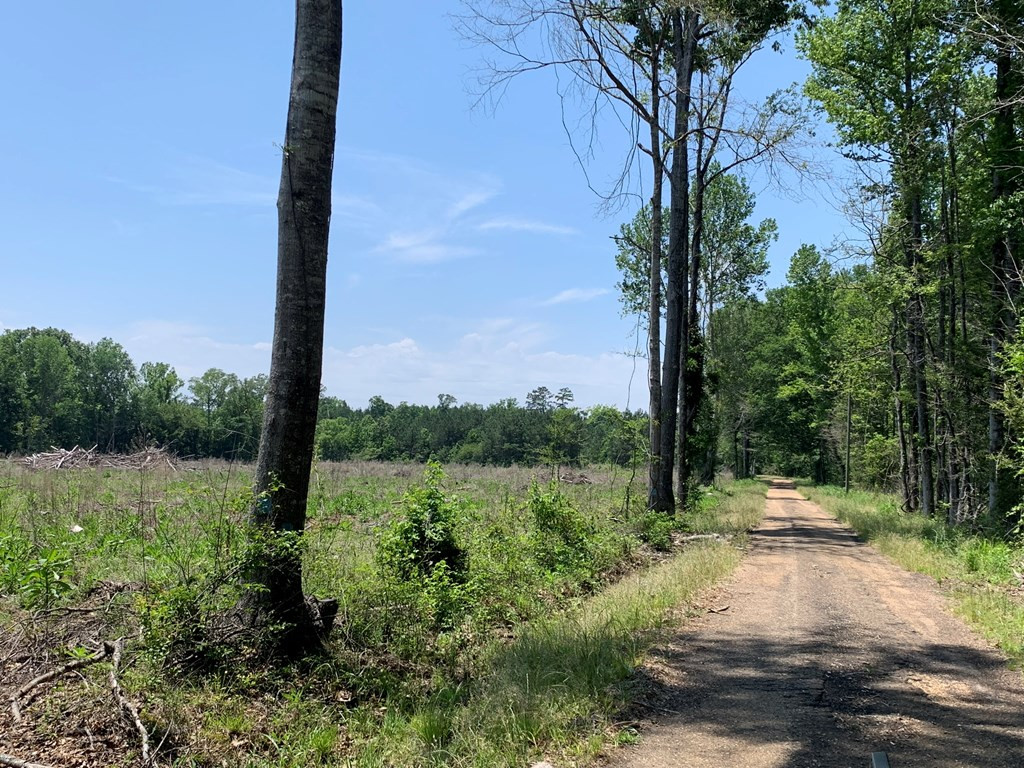 . Shelton Weeks Road Hazlehurst, MS 39083 - Photo 2 of 16 Photo 2