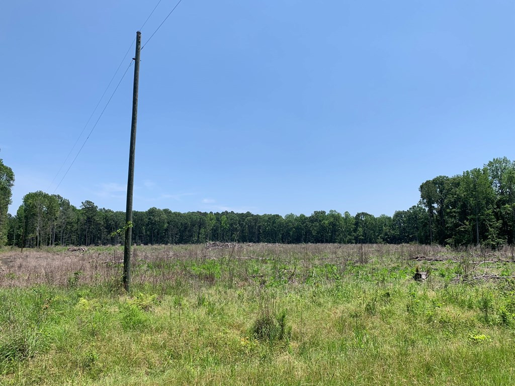 . Shelton Weeks Road Hazlehurst, MS 39083 - Photo 3 of 16 Photo 3