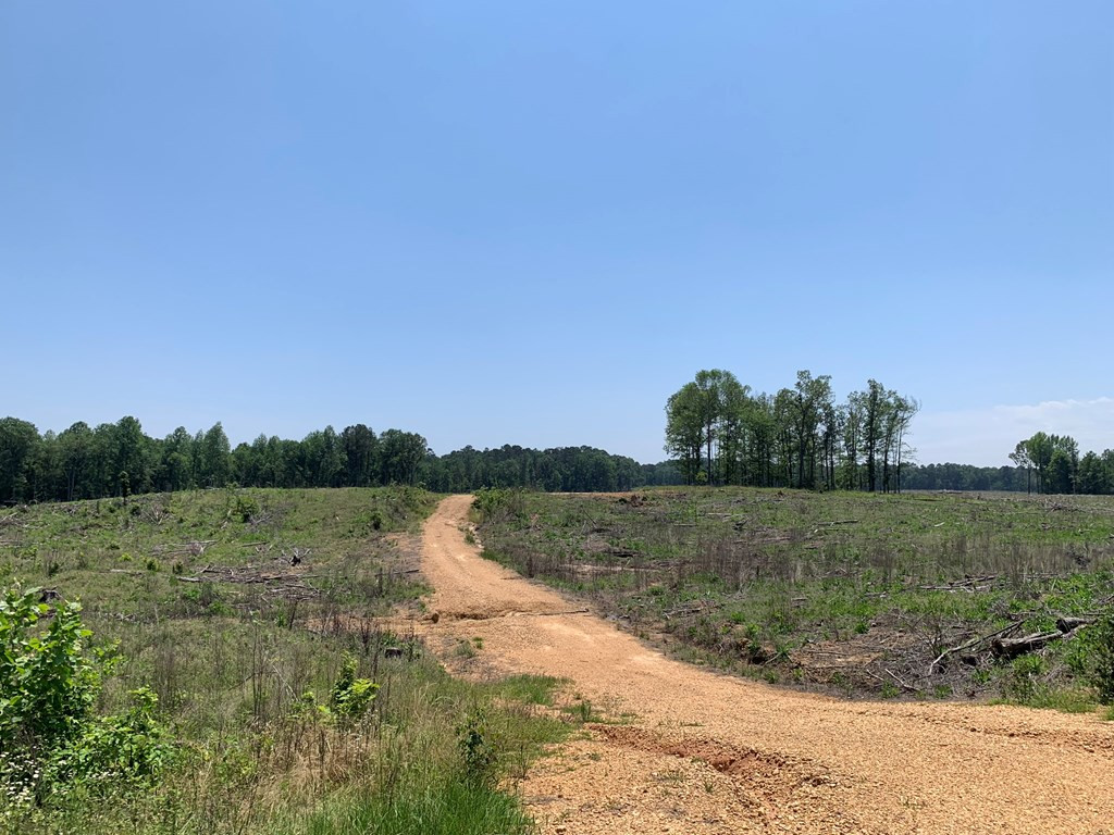 . Shelton Weeks Road Hazlehurst, MS 39083 - Photo 4 of 16 Photo 4