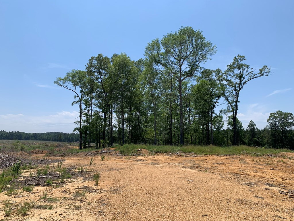 . Shelton Weeks Road Hazlehurst, MS 39083 - Photo 5 of 16 Photo 5