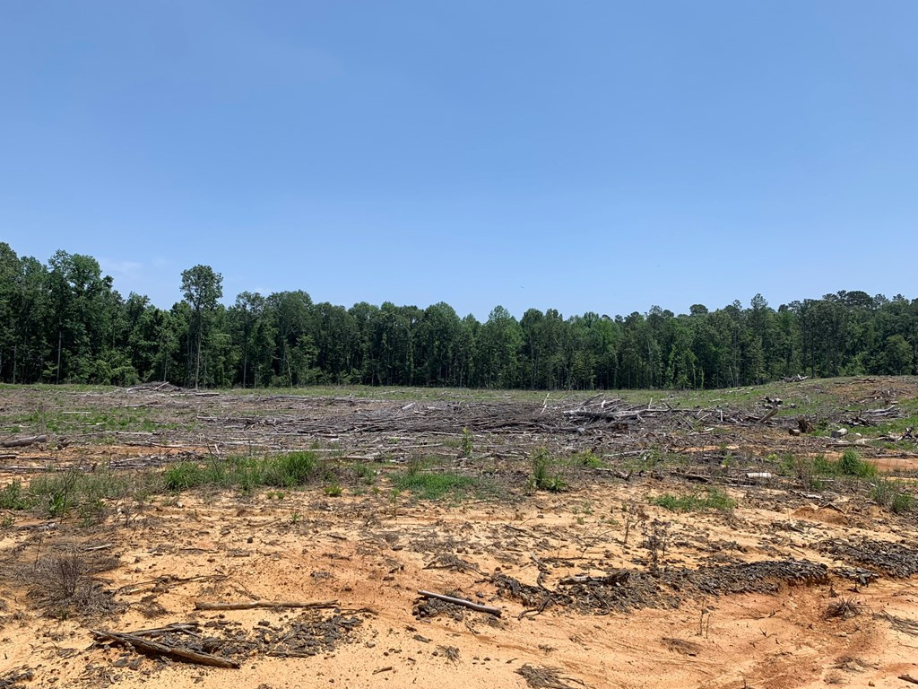 . Shelton Weeks Road Hazlehurst, MS 39083 - Photo 6 of 16 Photo 6