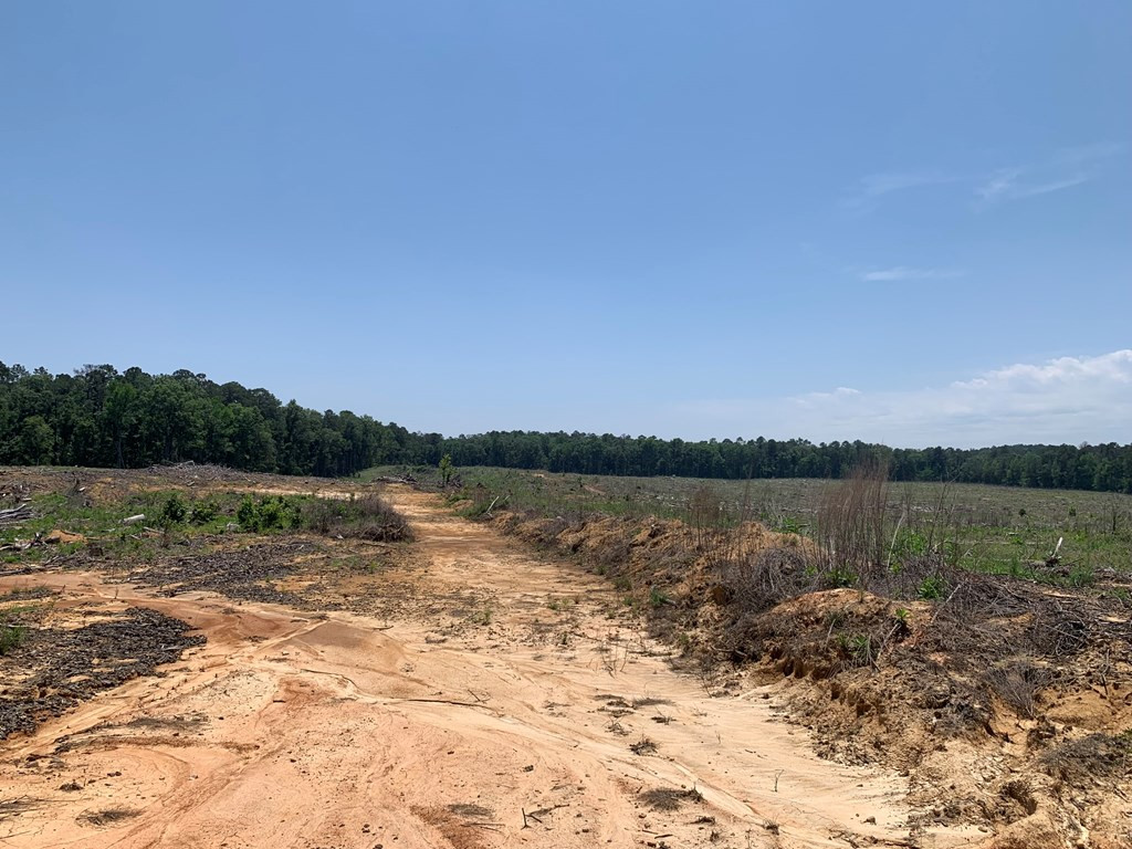 . Shelton Weeks Road Hazlehurst, MS 39083 - Photo 7 of 16 Photo 7
