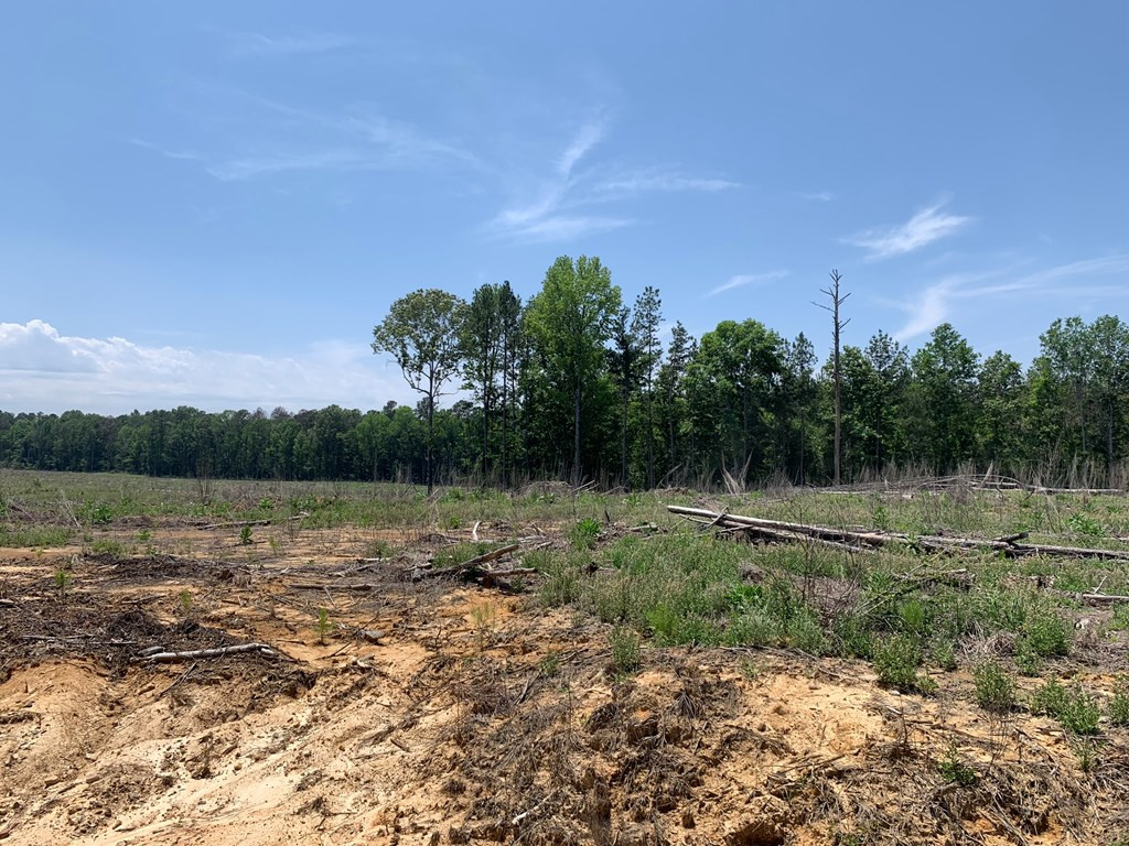 . Shelton Weeks Road Hazlehurst, MS 39083 - Photo 8 of 16 Photo 8