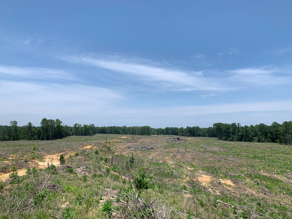 . Shelton Weeks Road Hazlehurst, MS 39083 - Photo 9 of 16 Photo 9