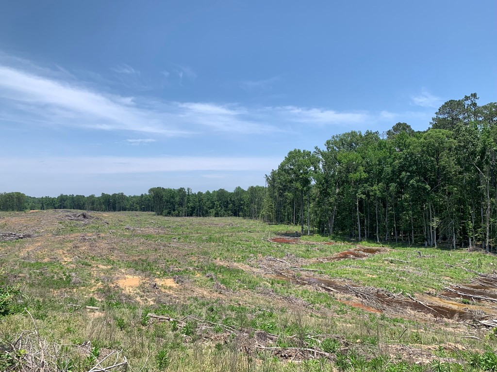 . Shelton Weeks Road Hazlehurst, MS 39083 - Photo 10 of 16 Photo 10