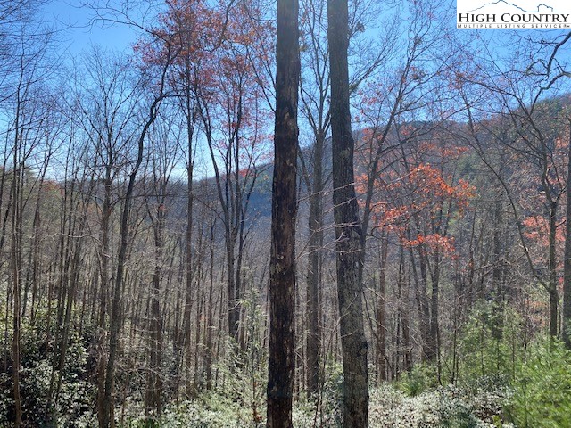 197 High Hollow Road Deep Gap, NC 28618 - Photo 20 of 28