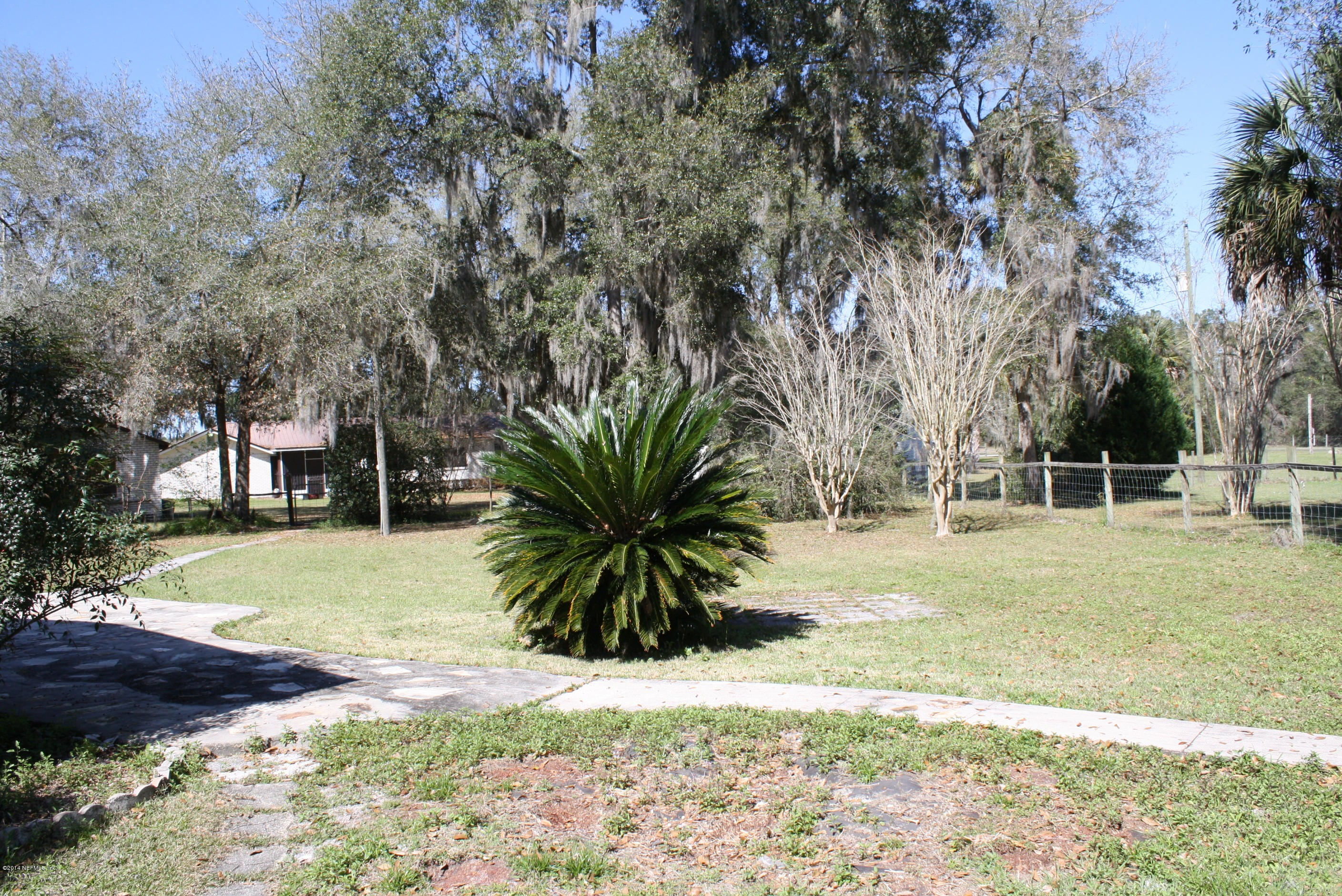 110 Heidt Road Palatka, FL 32177 - Photo 19 of 20 Sago palm