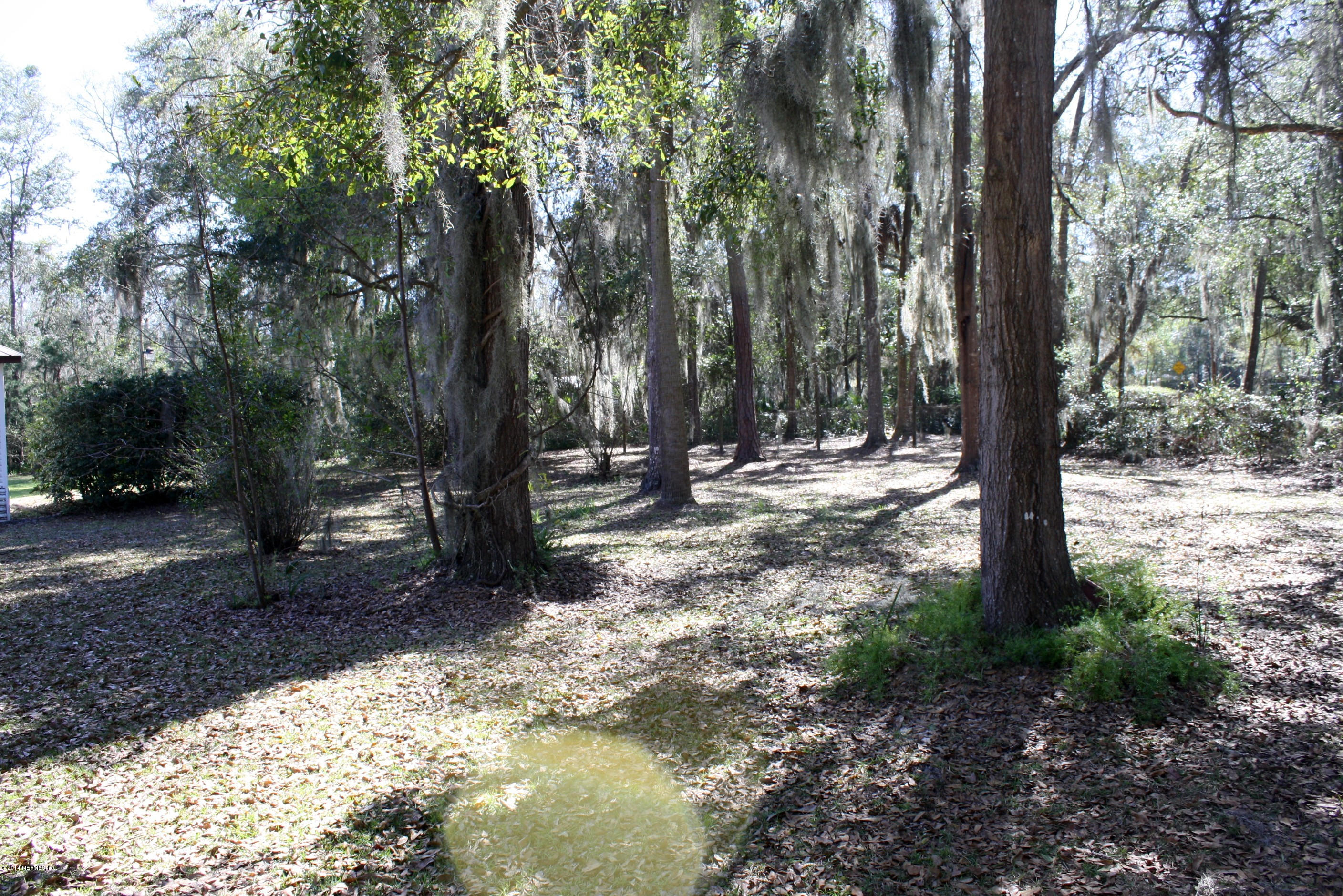 110 Heidt Road Palatka, FL 32177 - Photo 20 of 20 Wooded
