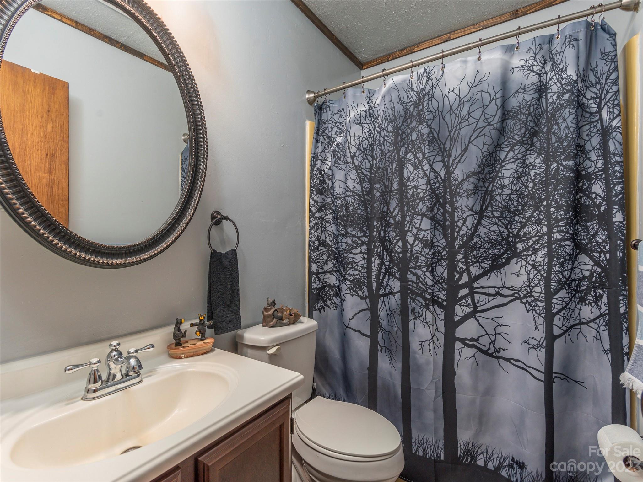 291 Dickinson Drive Clyde, NC 28721 - Photo 11 of 27 a bathroom with a sink vanity mirror and toilet