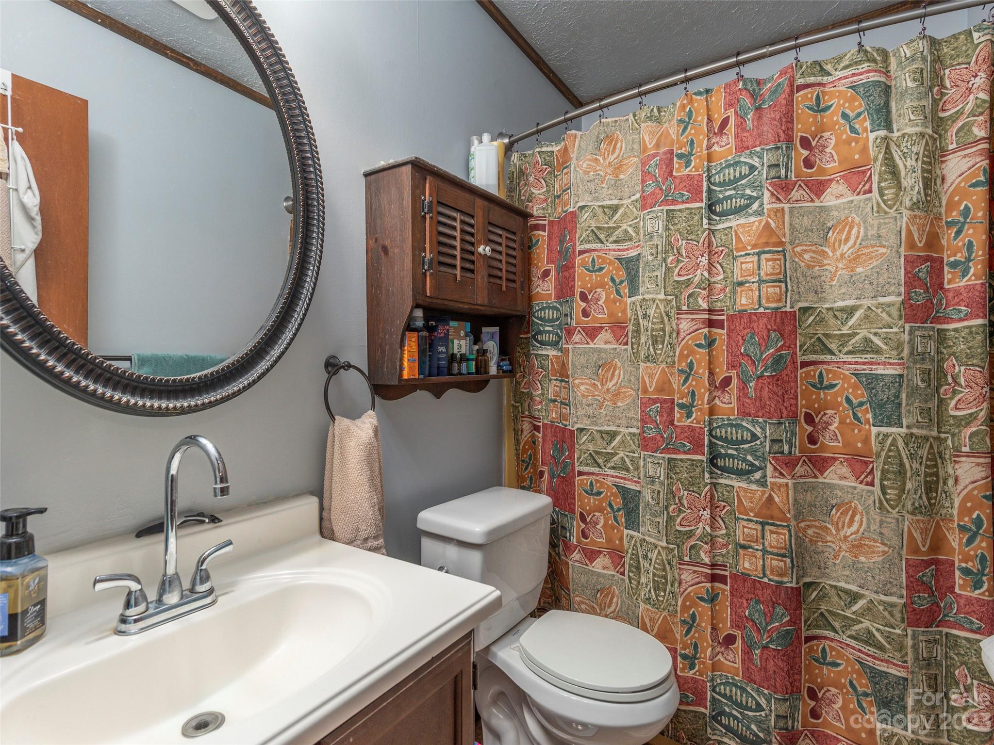 291 Dickinson Drive Clyde, NC 28721 - Photo 14 of 27 a bathroom with a sink a toilet and a mirror