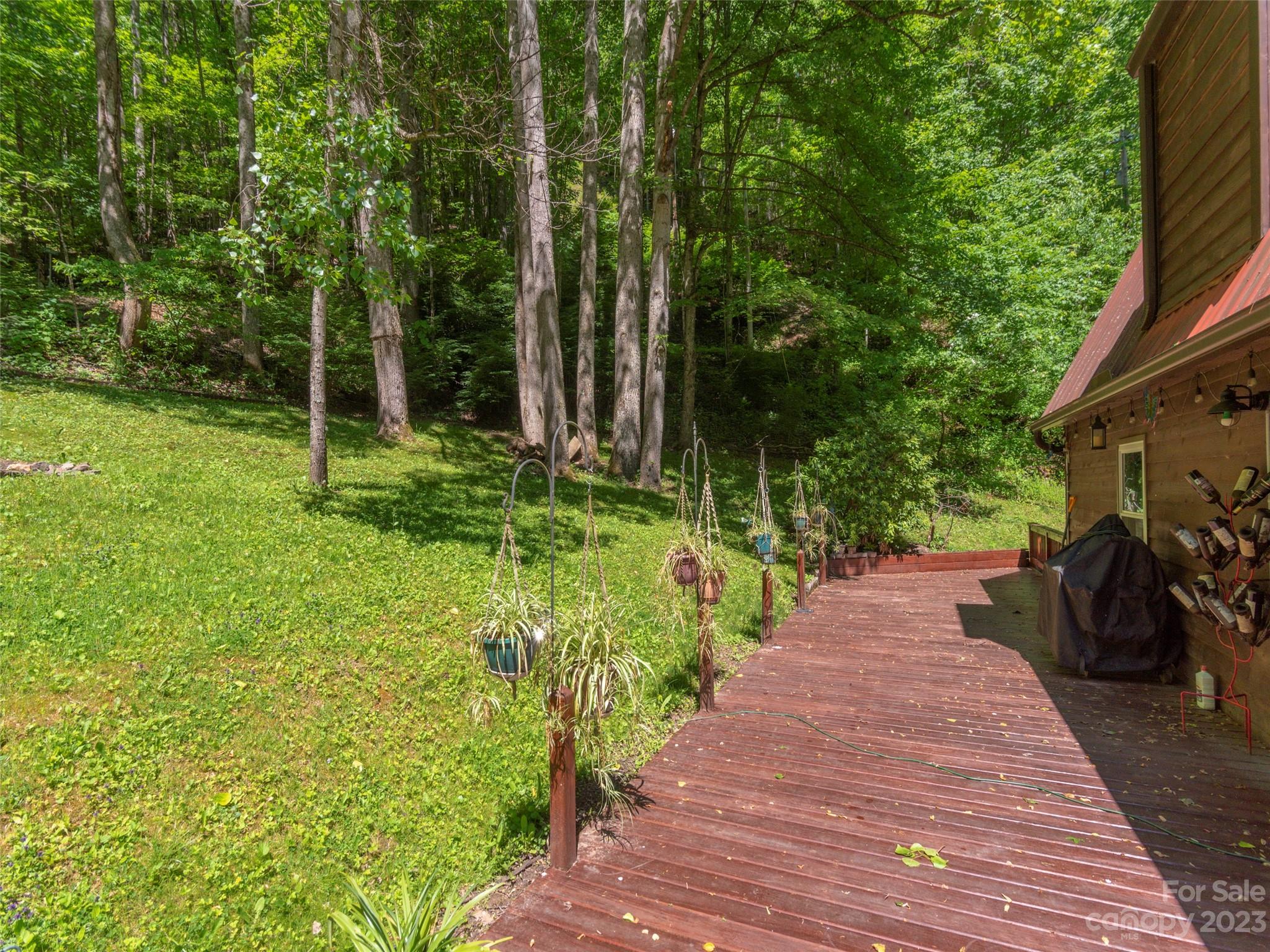 291 Dickinson Drive Clyde, NC 28721 - Photo 21 of 27 a view of a backyard with potted plants and large trees