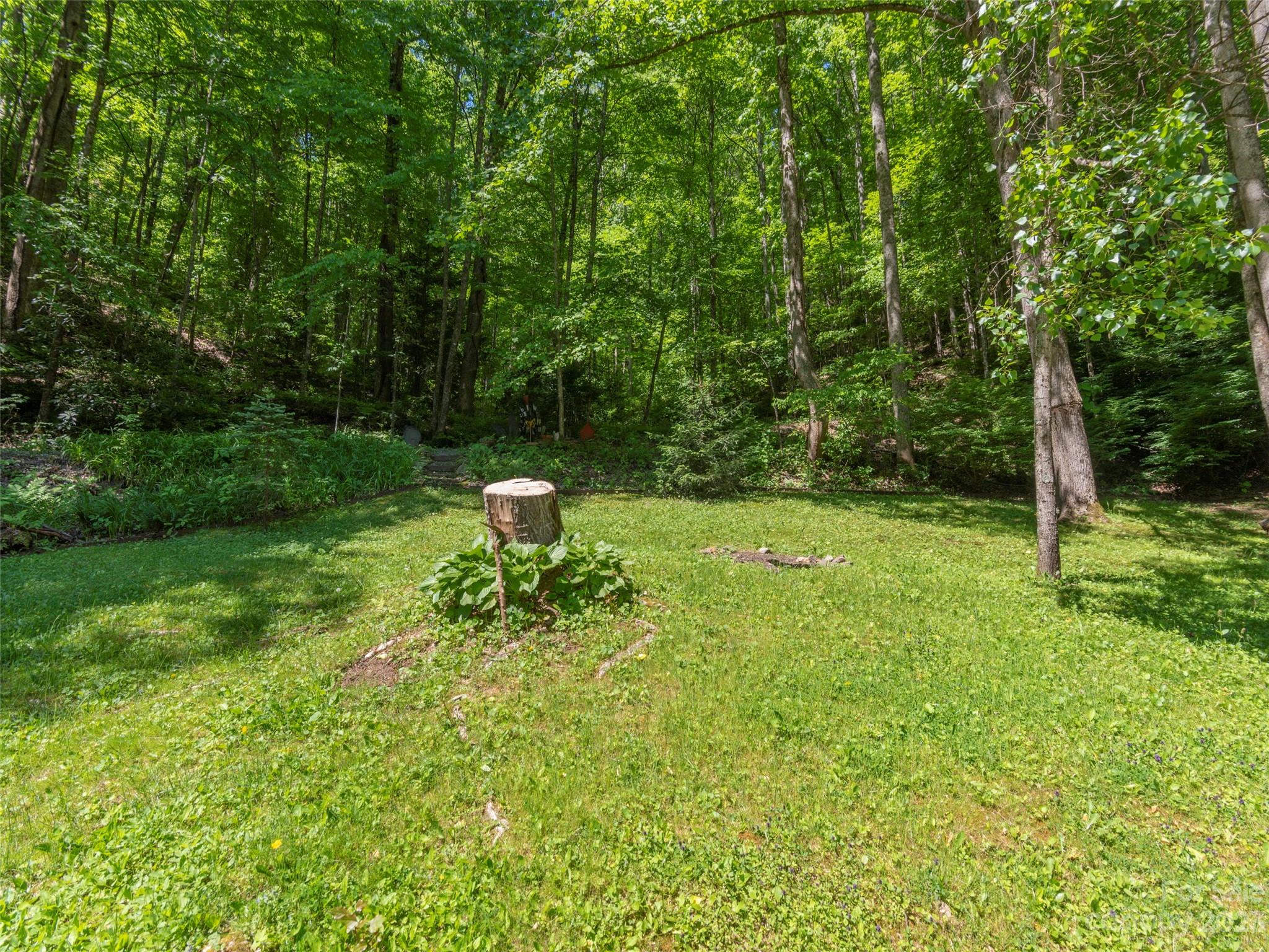 291 Dickinson Drive Clyde, NC 28721 - Photo 23 of 27 a backyard of a house with lots of green space