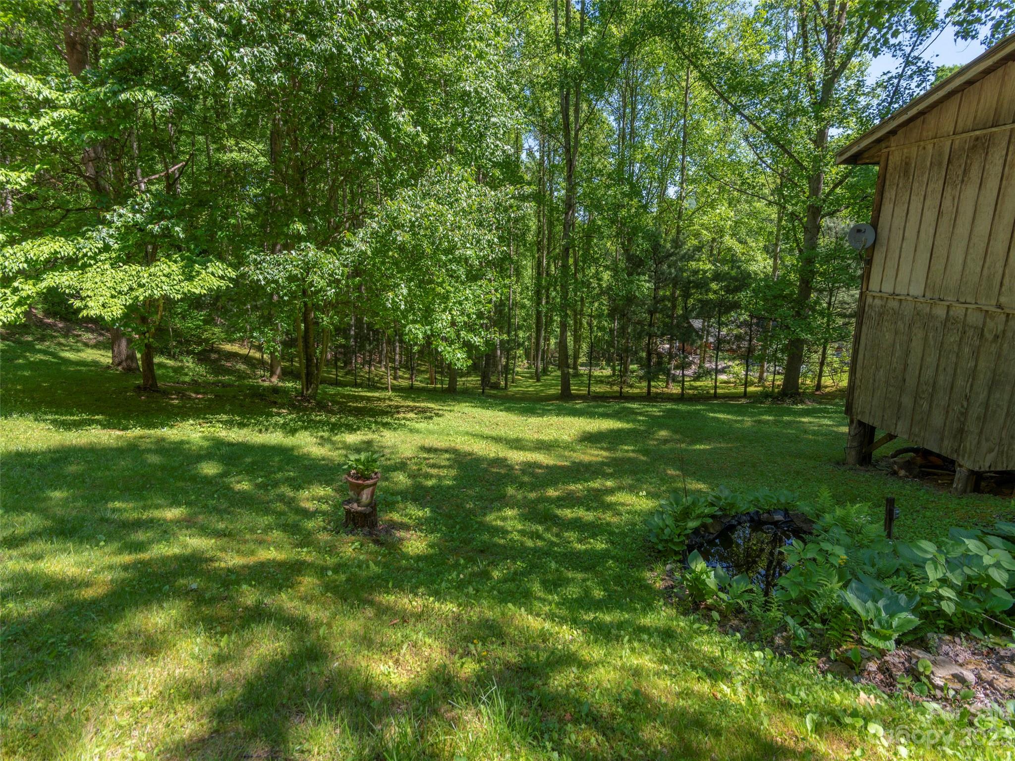 291 Dickinson Drive Clyde, NC 28721 - Photo 24 of 27 a big yard with lots of green space and trees in the back
