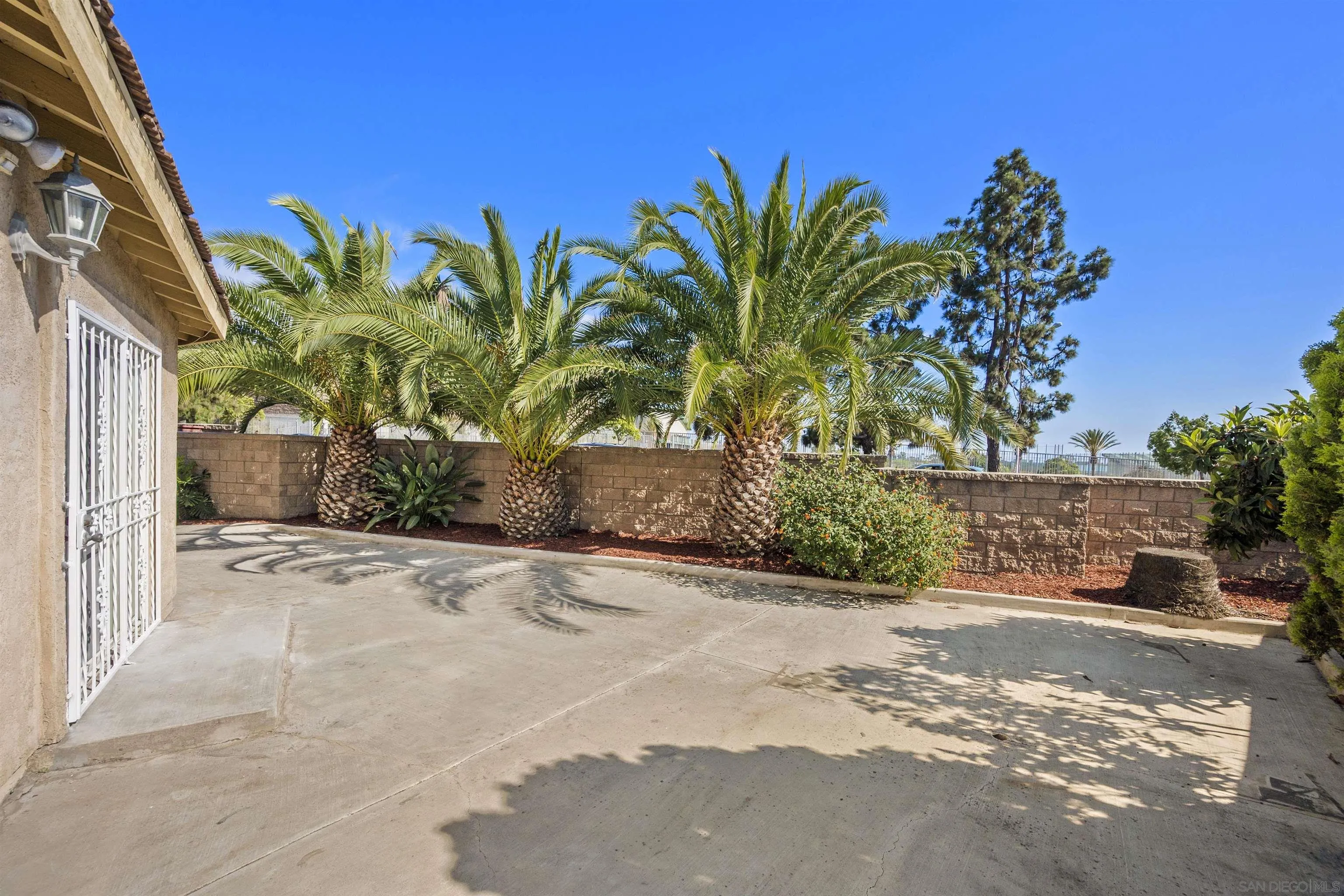 4815 Ebony Ridge Road San Diego, CA 92102 - Photo 38 of 45 a plant is in front of a building