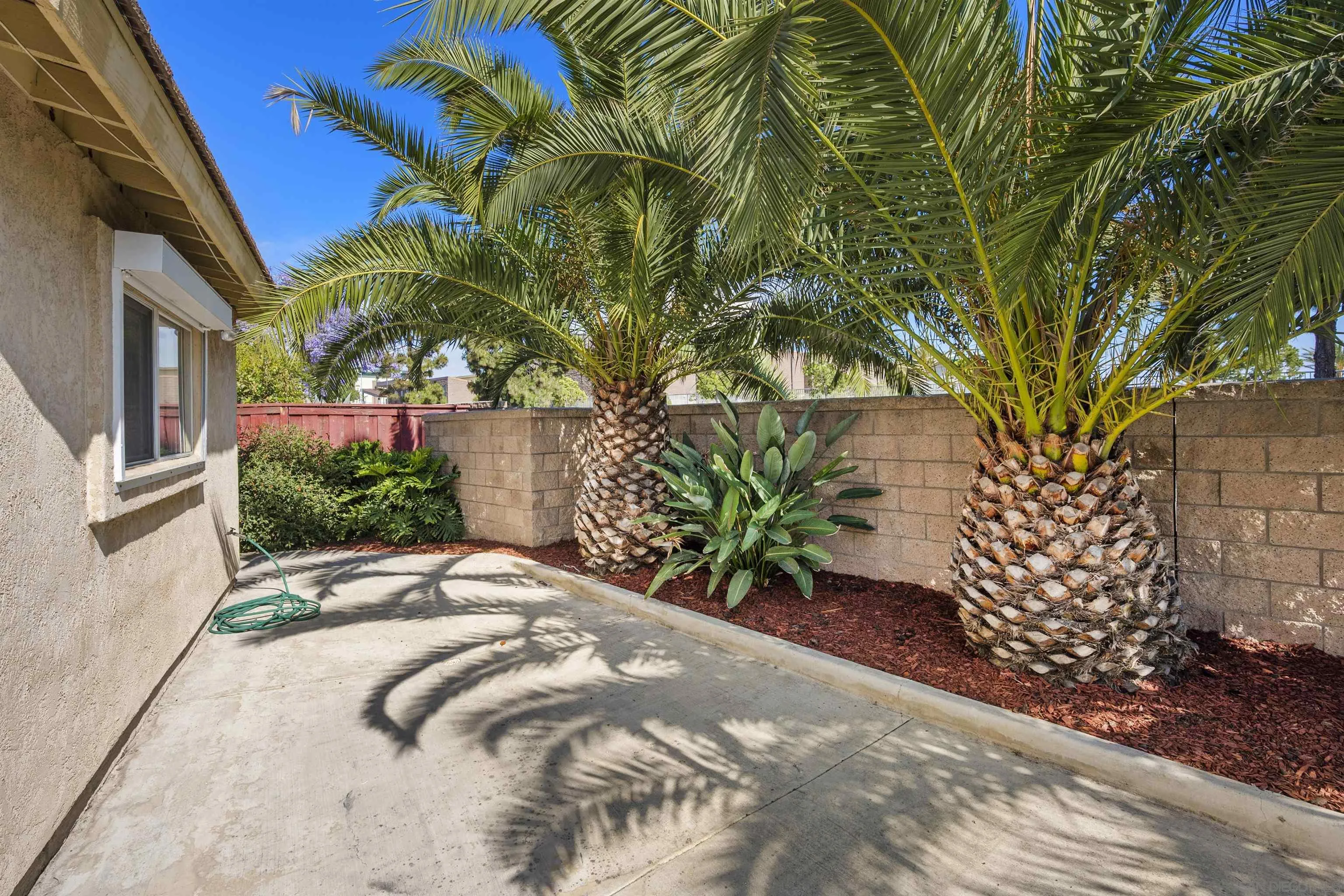 4815 Ebony Ridge Road San Diego, CA 92102 - Photo 39 of 45 a view of a backyard with plants and a trees