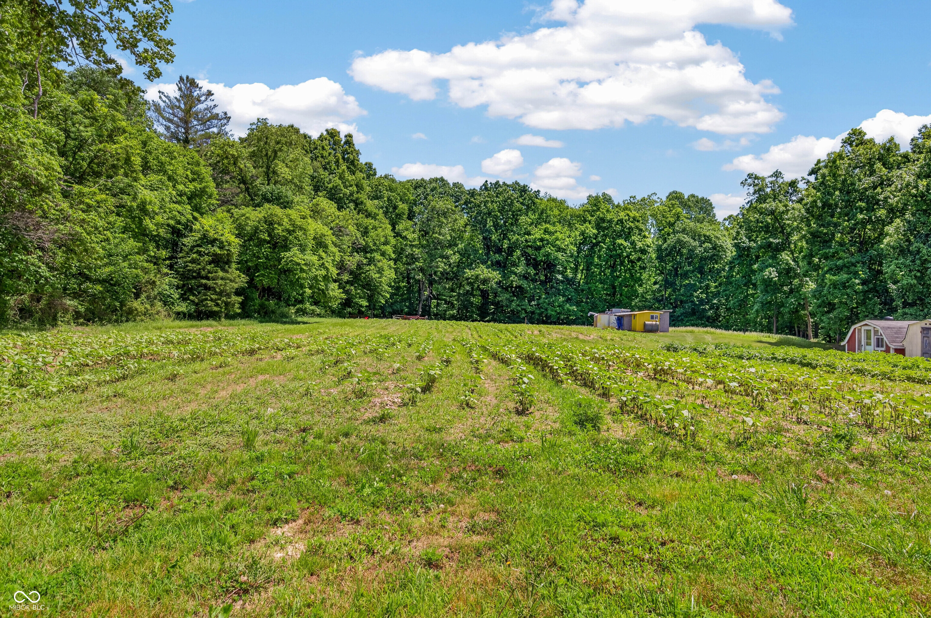 5053 Bittersweet Road Nashville, IN 47448 - Photo 49 of 54