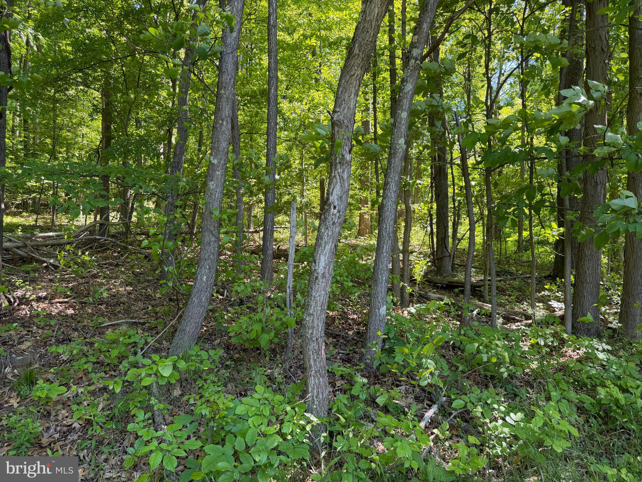 944 Decker Hollow Road Tyrone, PA 16686 - Photo 25 of 82
