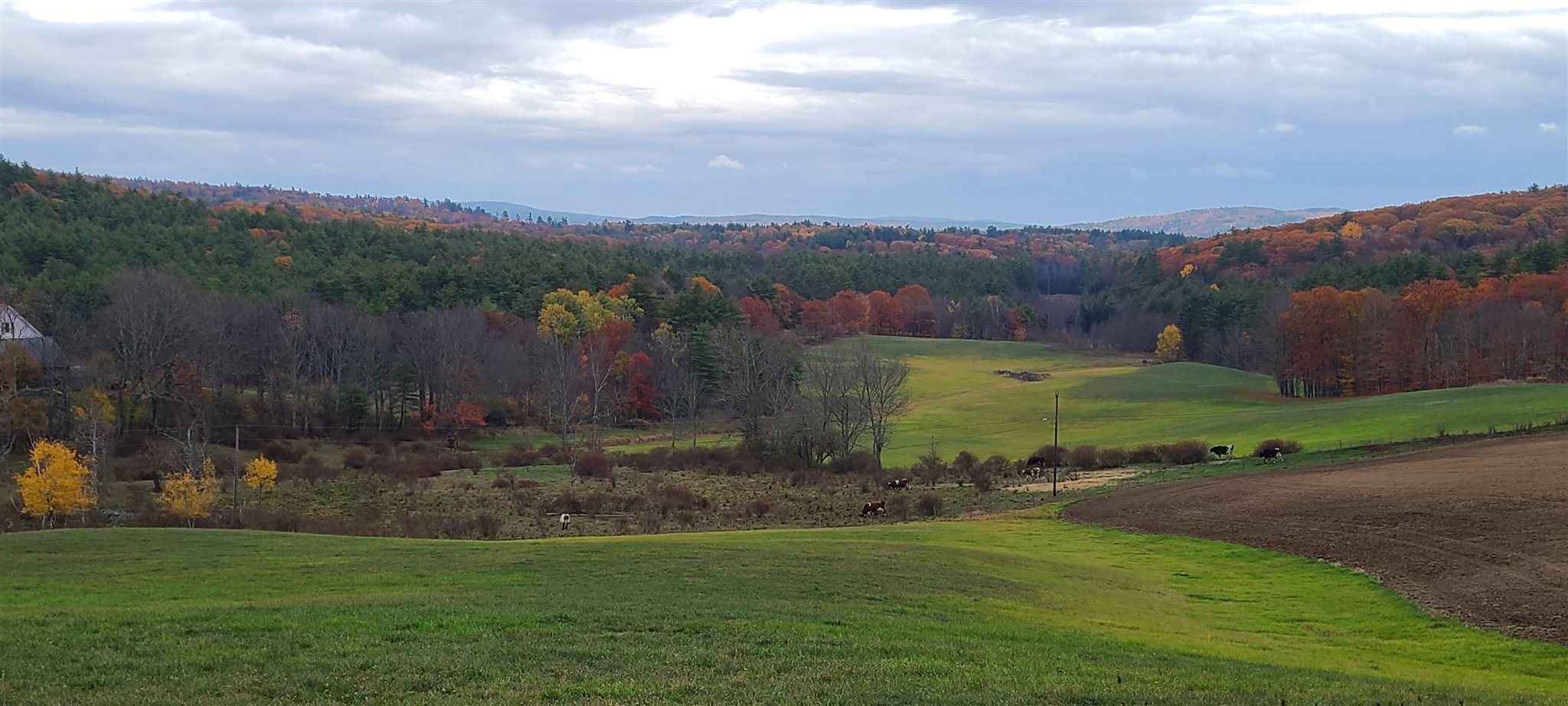 0 Barton Road Epsom, NH 03234 - Photo 3 of 3