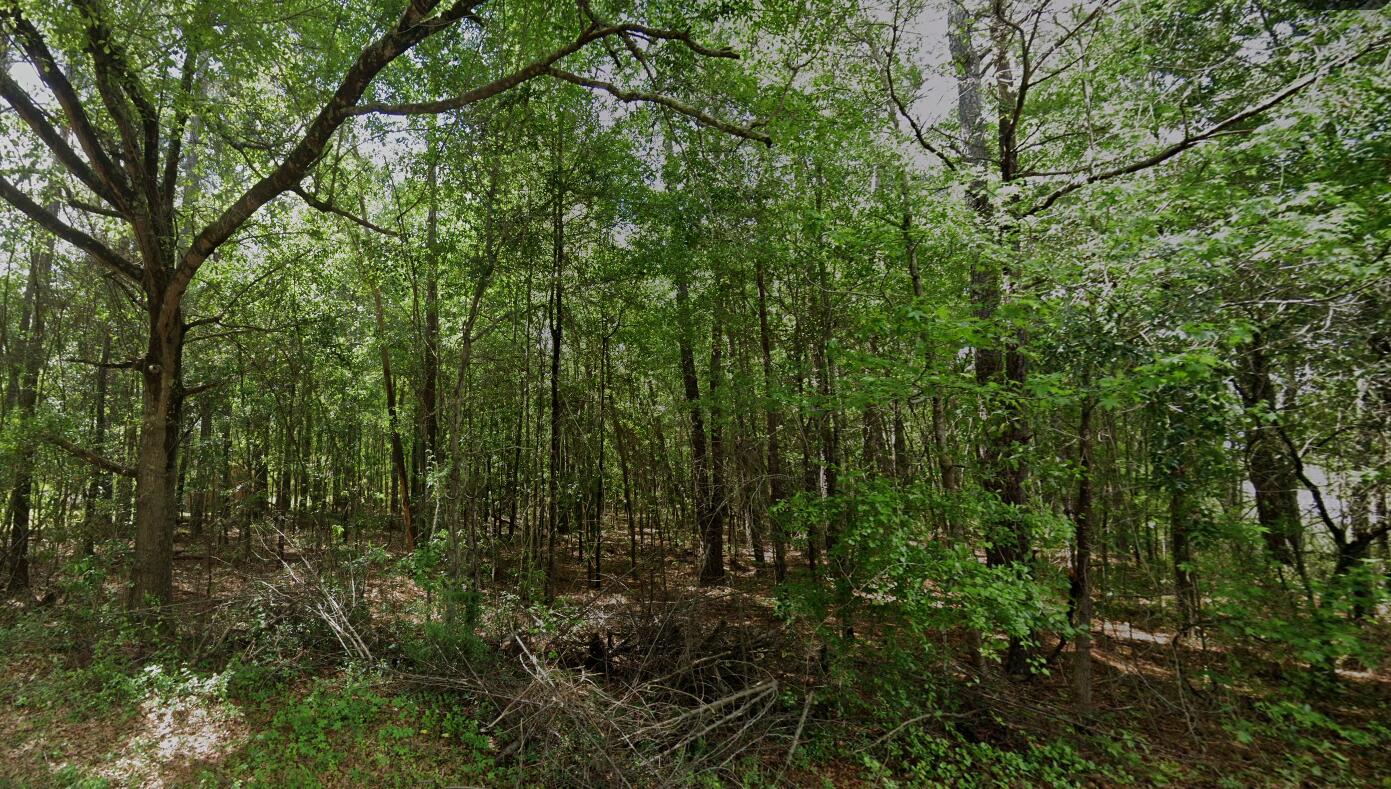 0 Hodges Road Kingstree, SC 29556 - Photo 2 of 3 Screenshot 2025-09-09 114758