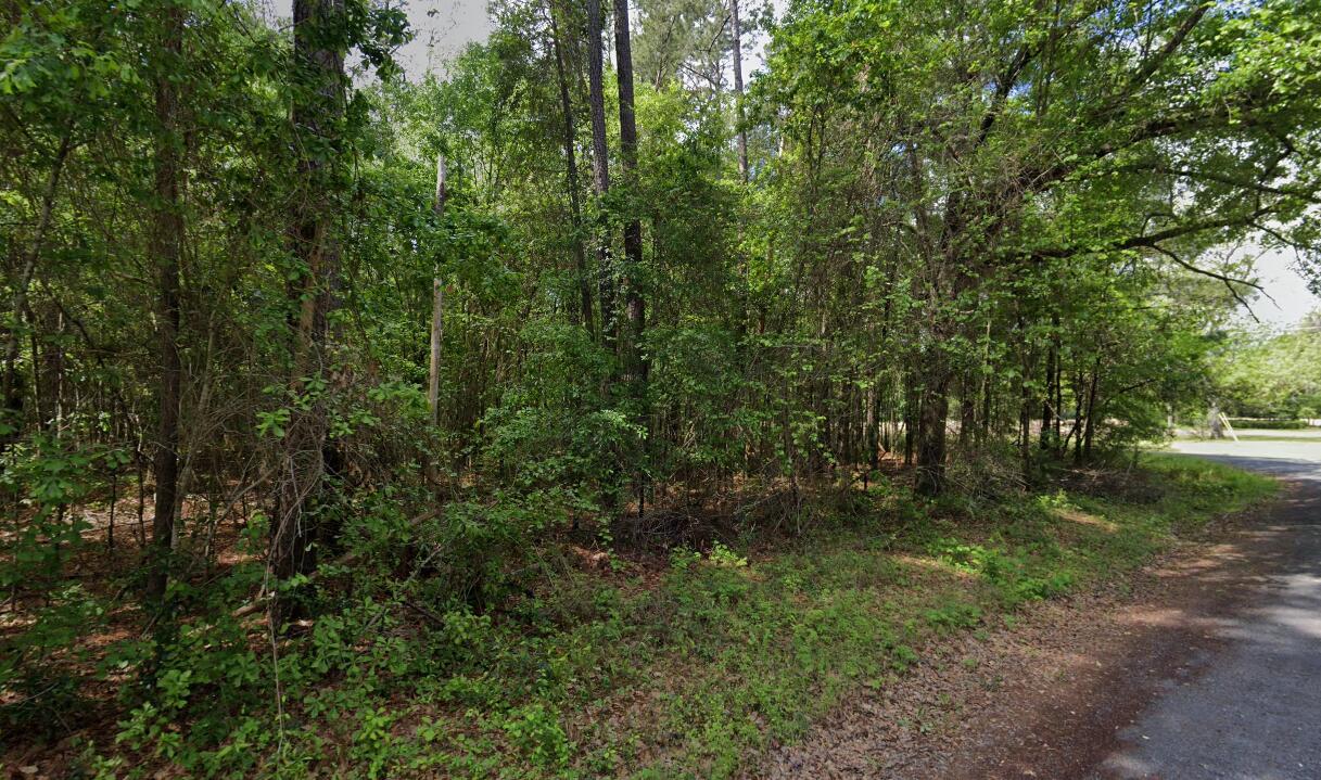 0 Hodges Road Kingstree, SC 29556 - Photo 3 of 3 Screenshot 2025-09-09 114901