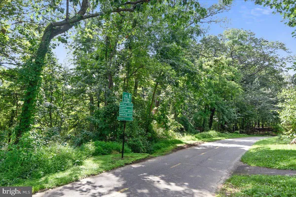 a view of a street with a tree