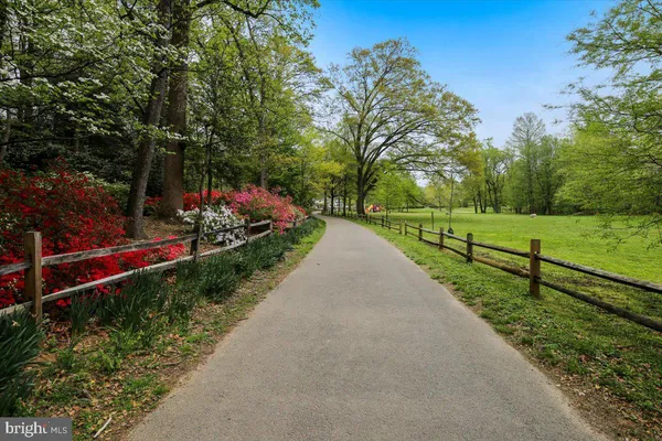 a view of a park with large trees