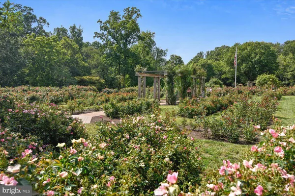 a view of a garden with plants
