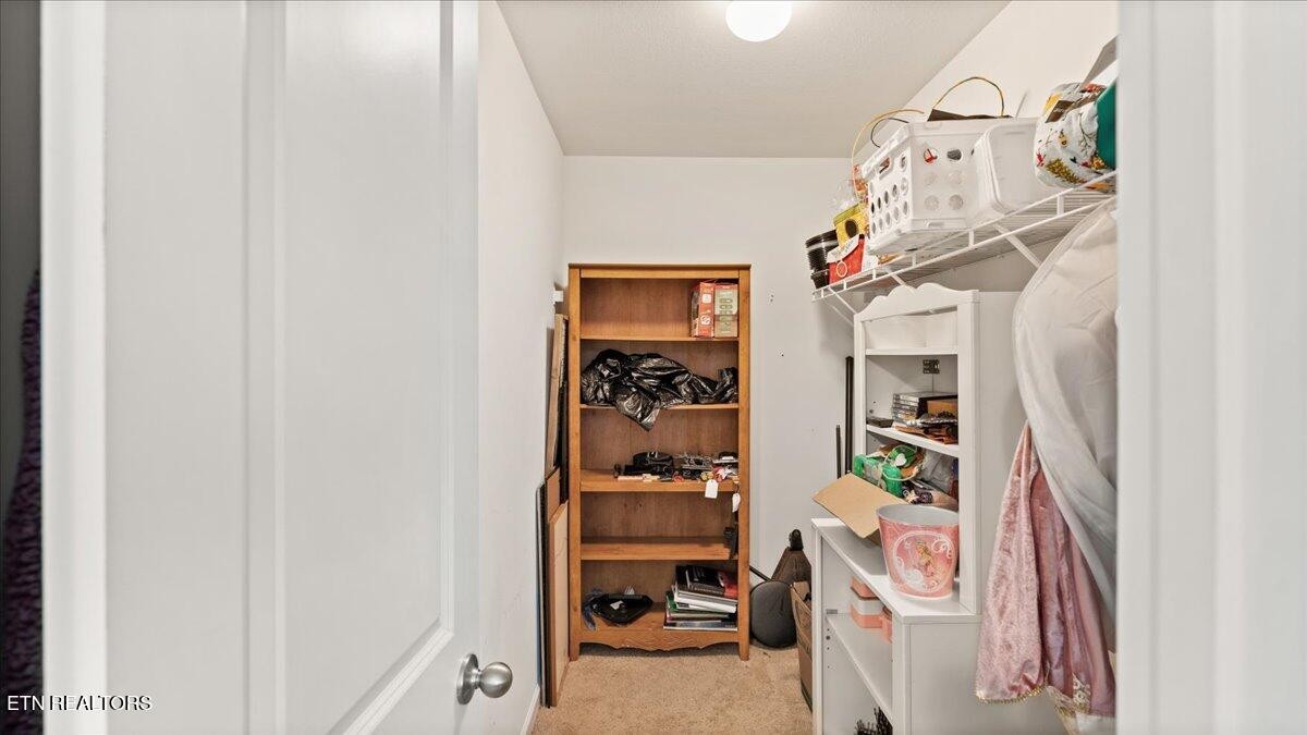 1816 River Poppy Road Mascot, TN 37806 - Photo 46 of 52 a view of walk in closet with clothes and shoes