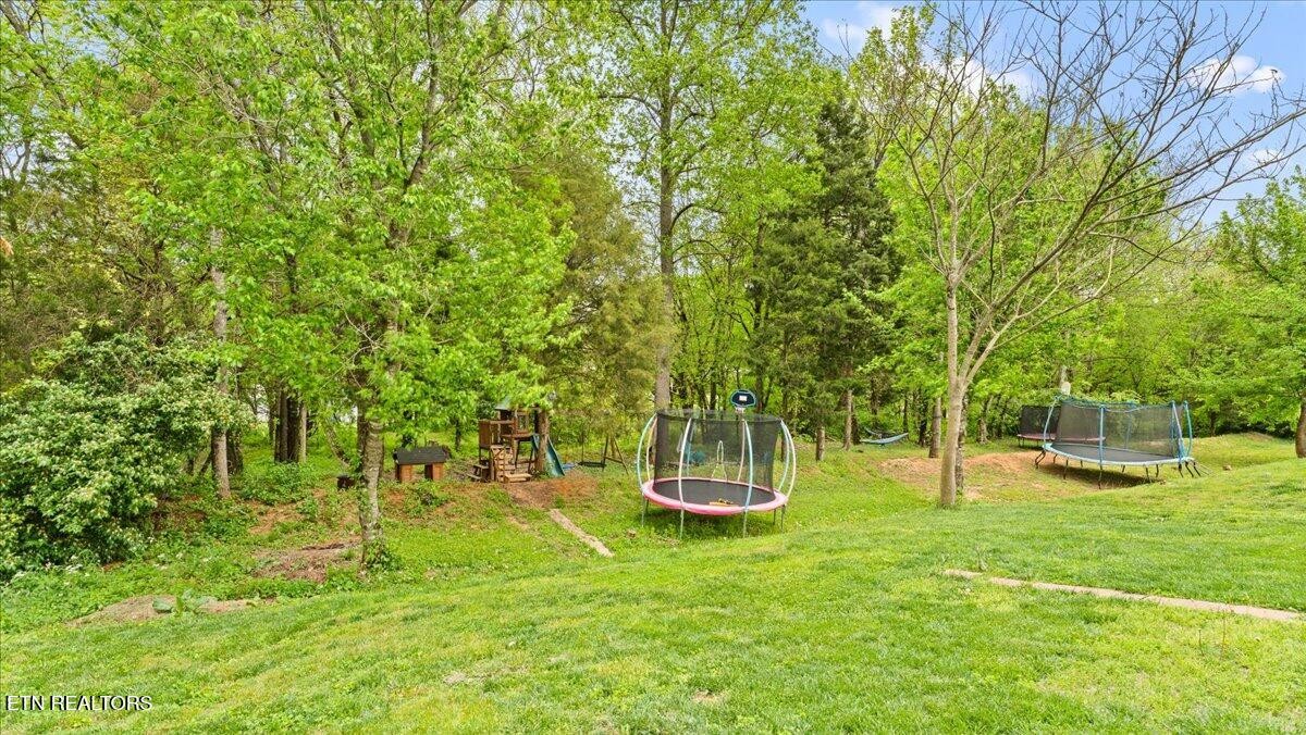 1816 River Poppy Road Mascot, TN 37806 - Photo 47 of 52 a view of a playground with a tree