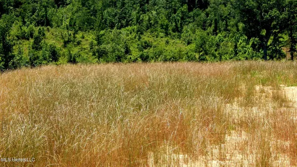 $99,900 | 104 Hugh White State Pk Road, Grenada, MS 38901