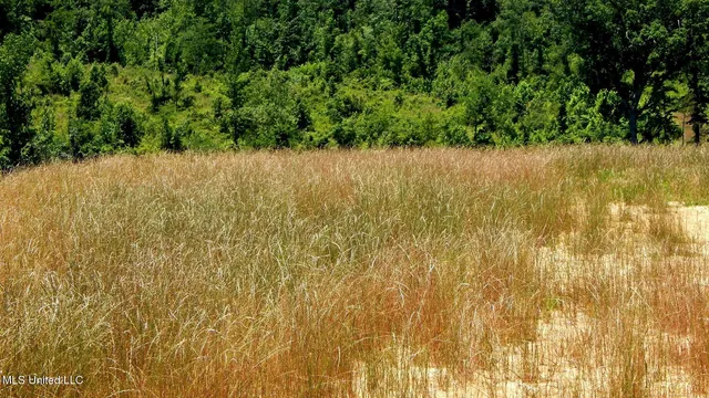 $99,900 | 104 Hugh White State Pk Road, Grenada, MS 38901